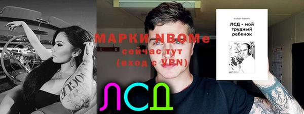 PSILOCYBIN Няндома