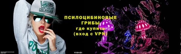 гидропоника Осинники