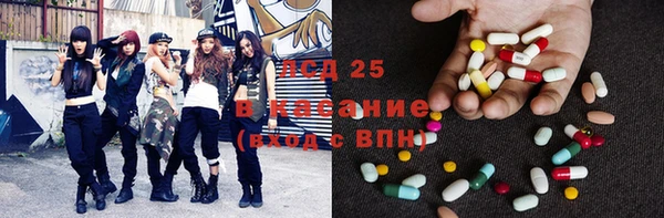 PSILOCYBIN Няндома