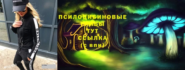 ПСИЛОЦИБИНОВЫЕ ГРИБЫ Остров