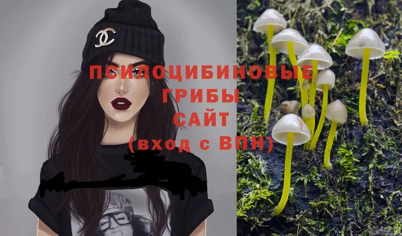 Галлюциногенные грибы MAGIC MUSHROOMS  Конаково 