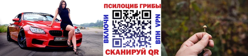 закладка Конаково Псилоцибиновые грибы ЛСД