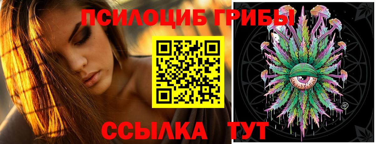 Псилоцибиновые грибы Cubensis Конаково