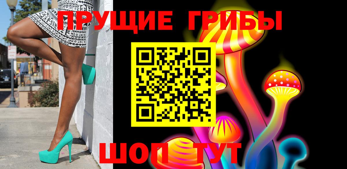 Конаково  Псилоцибиновые грибы Psilocybe  Вход с VPN 