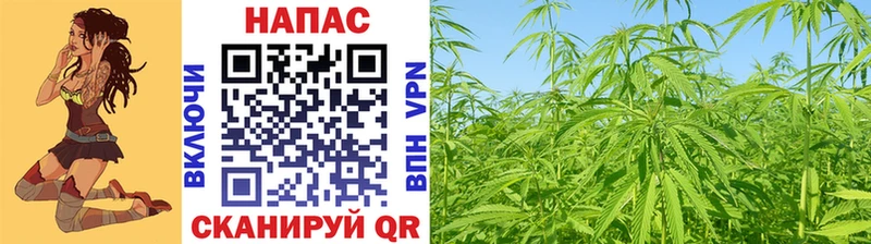 Бошки Шишки VHQ  маркетплейс наркотические препараты  Конаково 